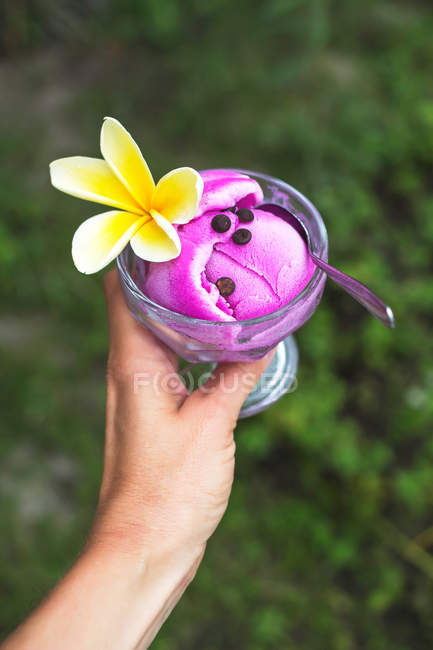 Frau hält Hand mit Drachenfrucht-Eis-Dessert — Stockfoto