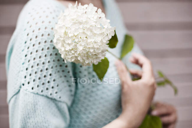 Mujer sosteniendo una flor - foto de stock