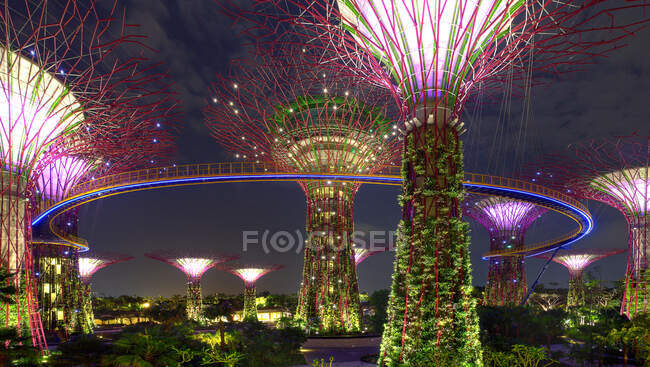 Supertree Grove Em Jardins Junto à Baía, Singapura — Fotografia de Stock