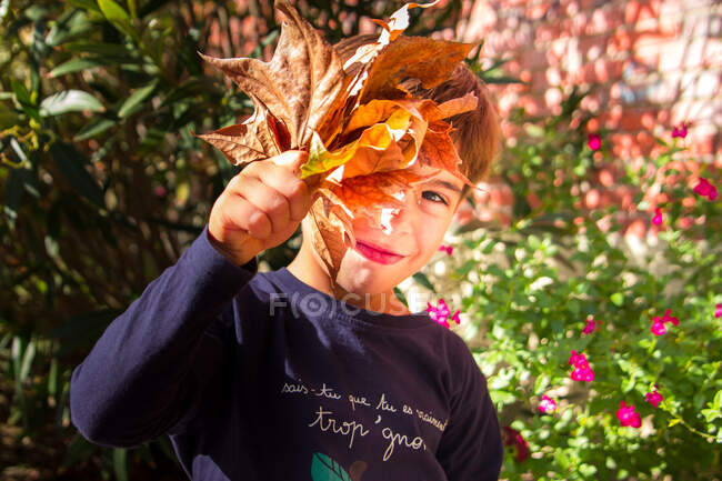 Garçon cachant son visage derrière les feuilles d'automne — Photo de stock