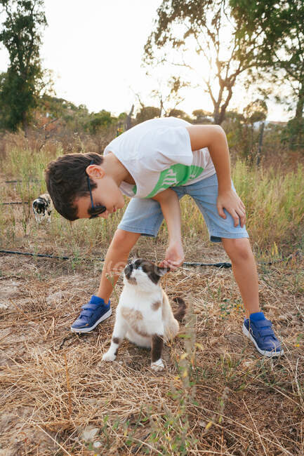 Niño jugando con gato en la naturaleza - foto de stock