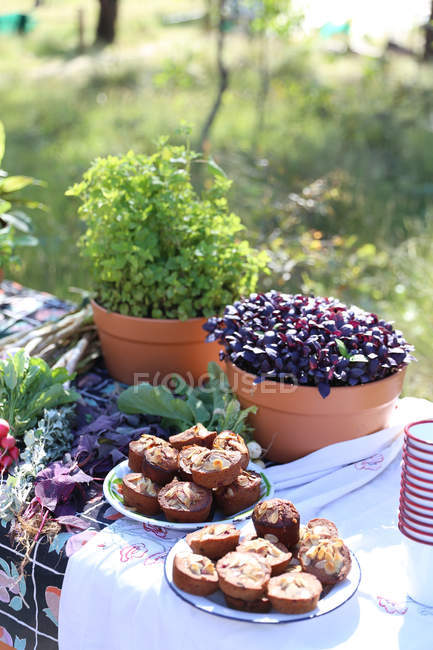 Primo piano di muffin ed erbe su un tavolo da picnic — Foto stock