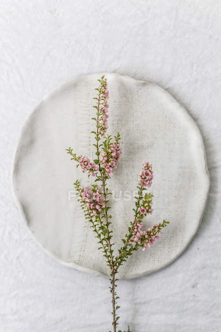 Top view of sprig of heather on ceramic plate — Stock Photo