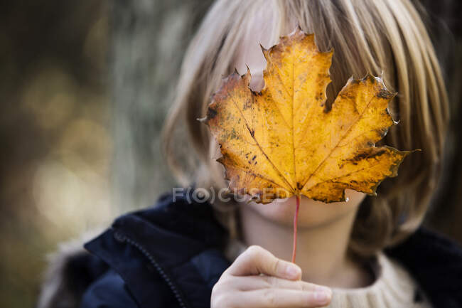 Niño escondido detrás de una hoja de otoño - foto de stock