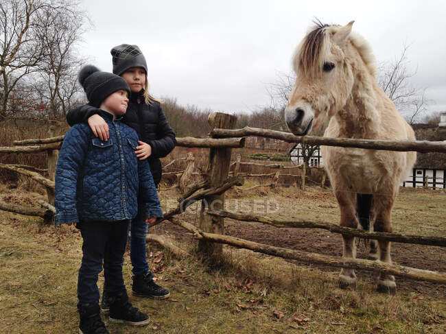 Dos chicos parados junto a un caballo en un campo - foto de stock