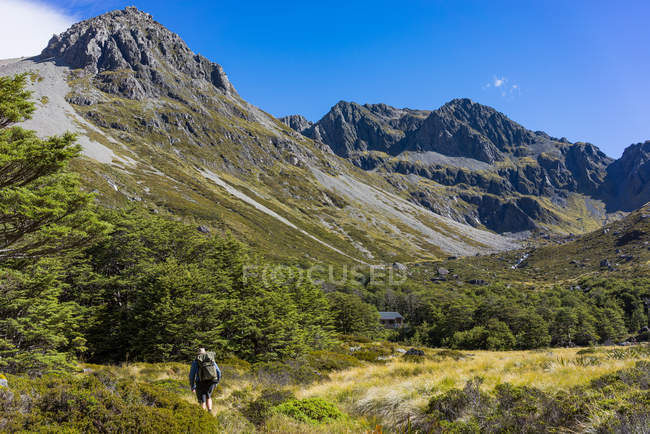 Man Hiking, Upper Travers Valley, Nelson Lakes National Park, New Zealand — Stock Photo