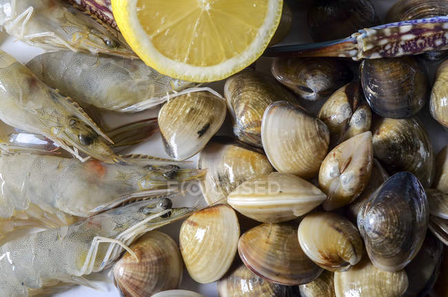 Fresh prawns and clams with lemon, closeup view — Stock Photo