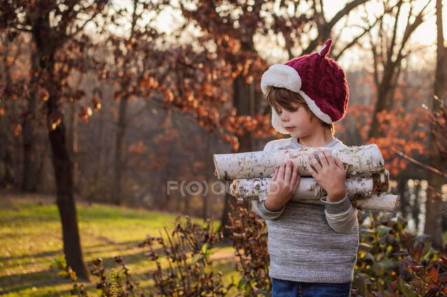 Niño cargando leña en bosque otoñal - foto de stock