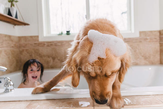 Девушка в ванной с золотой собакой-ретривером — стоковое фото
