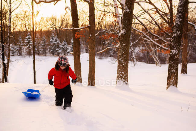 Boy pulling sledge up a hill at sunset — Stock Photo