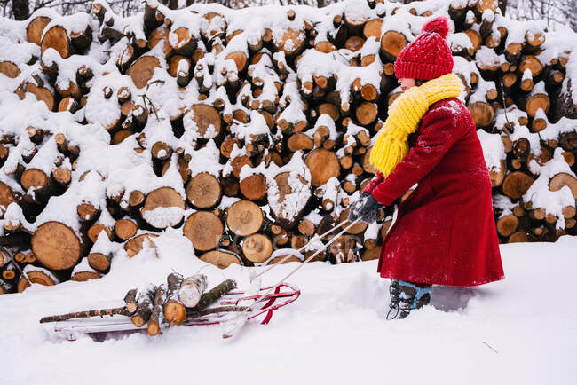 Girl pulling a sledge with firewood — Stock Photo