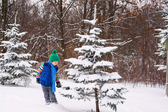 Мальчик, стоящий у елки в саду на природе — стоковое фото