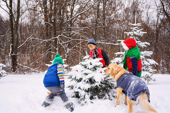 Três crianças decorando uma árvore de Natal no jardim com seu cão golden retriever — Fotografia de Stock