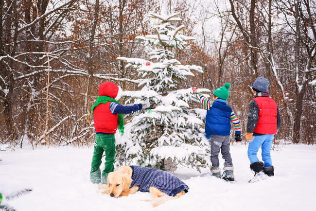 Trois enfants décorent un sapin de Noël dans le jardin avec leur chien doré — Photo de stock
