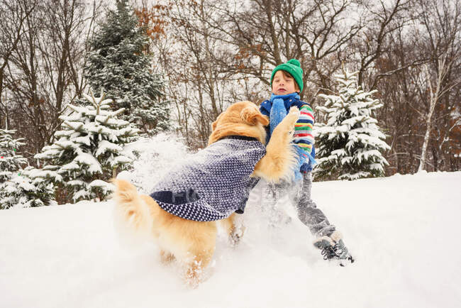 Boy playing in the snow with golden retriever dog — Stock Photo