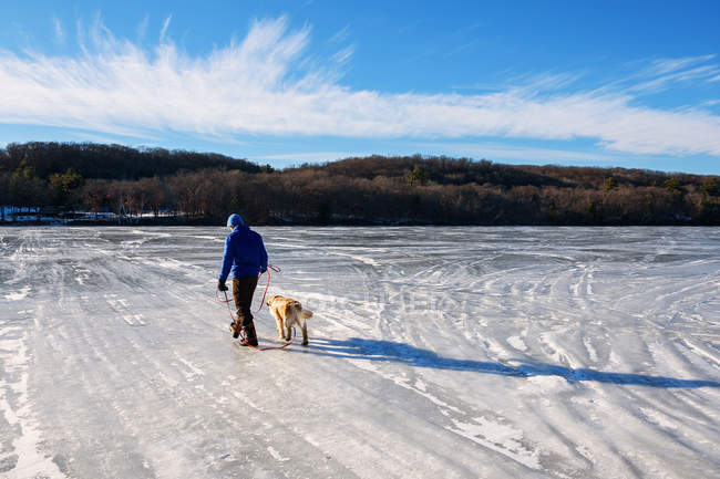 Человек, выгуливающий собаку через замерзшее озеро — стоковое фото