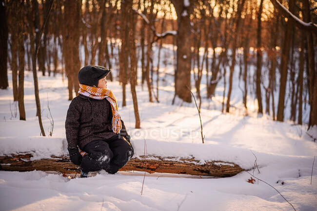 Menino sentado em um tronco na floresta no inverno — Fotografia de Stock