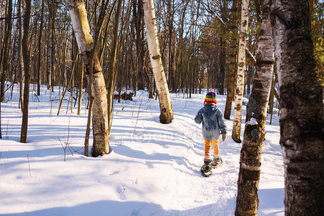 Niño raquetas de nieve a través de un bosque de abedul - foto de stock