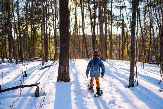 Мальчик в снегоступах через березовый лес — стоковое фото