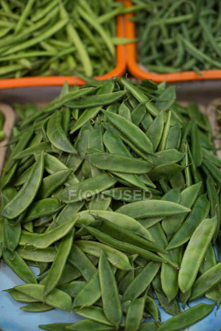 Nahaufnahme von grünen Bohnen auf dem Markt, Dubai, VAE — Stockfoto