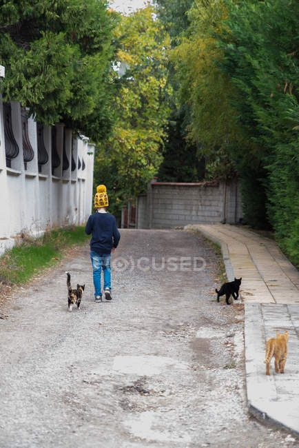 Menino andando rua abaixo com três gatos — Fotografia de Stock