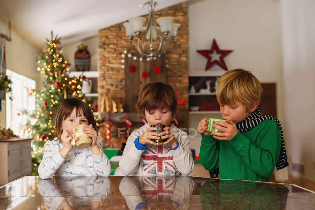 Trois enfants boivent du chocolat chaud à Noël — Photo de stock