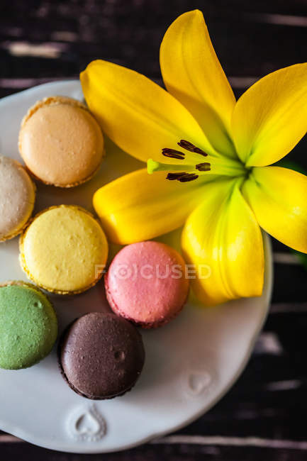Macaroons em uma banca de bolo com uma flor de lírio — Fotografia de Stock
