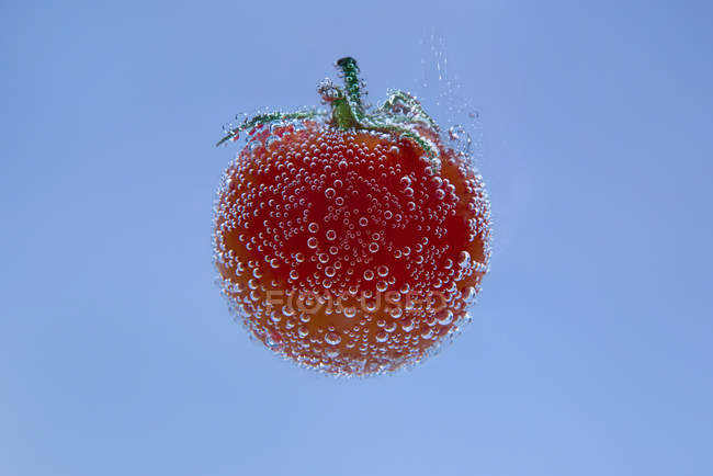 Concepto de tomate en agua mineral sobre fondo azul - foto de stock