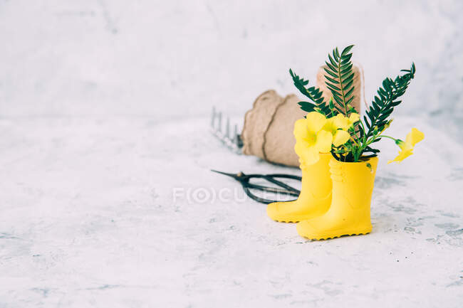 Botas de sollington con flores y herramientas de jardinería. - foto de stock