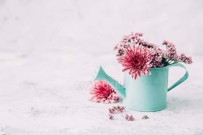Closeup view of watering can with flowers — Stock Photo