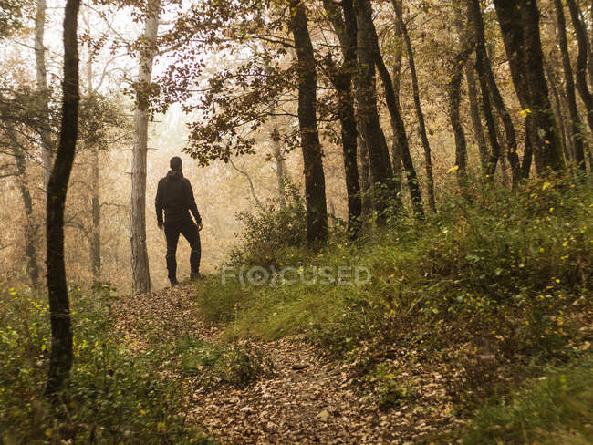 Человек, стоящий в лесу, Испания — стоковое фото