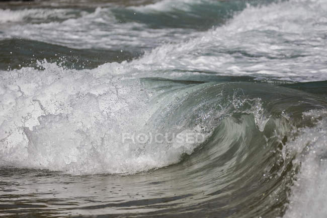 Primo piano della rottura di un'onda, Nuova Zelanda — Foto stock