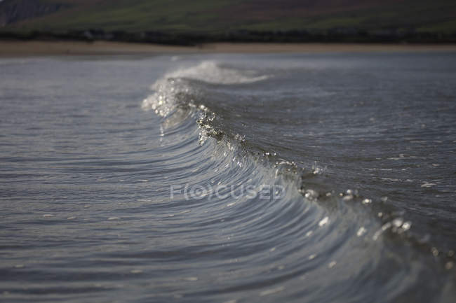 Wave breaking on beach, Ballyferriter, County Керри, Ireland — стоковое фото