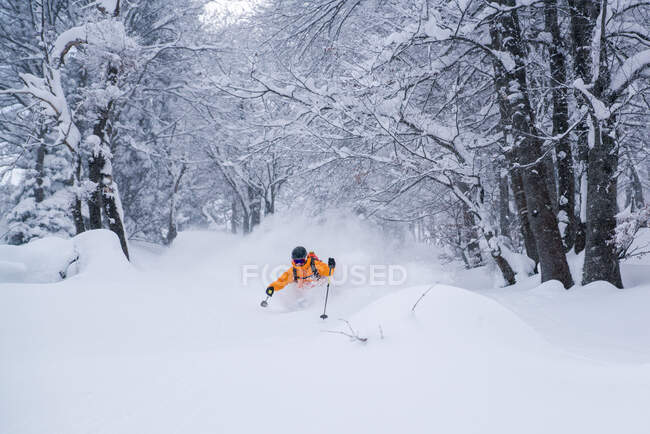 Человек на лыжах в глубоком порошковом снегу, Госау, Гмунден, Австрия — стоковое фото