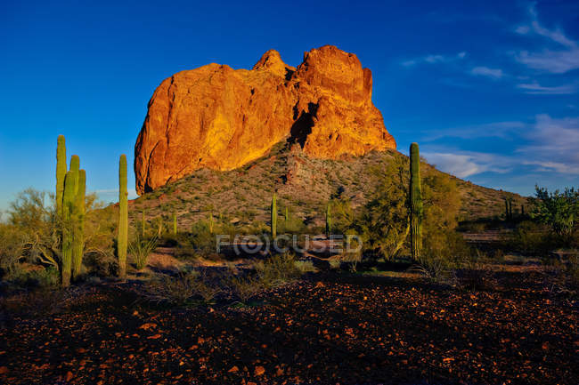 Vista panorámica de Courthouse Rock, Eagletail mountain Wilderness, Arizona, America, USA - foto de stock