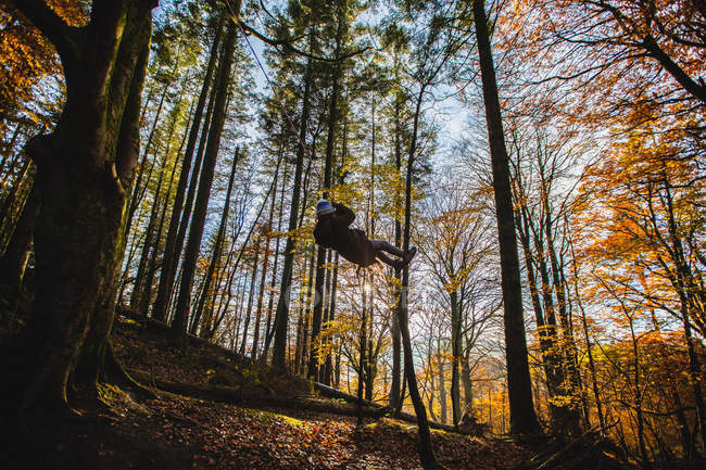 Заднього виду дівчинка на гойдалках в лісі, Сполучені Штати Америки — стокове фото