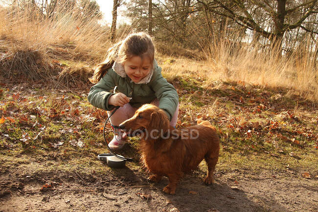 Chica poner correa en un perro salchicha - foto de stock