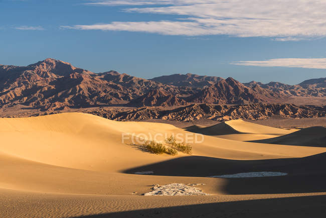 Мальовничим видом з мескіт квартири піщані дюни, Долина смерті, штат Каліфорнія, Америка, США — стокове фото