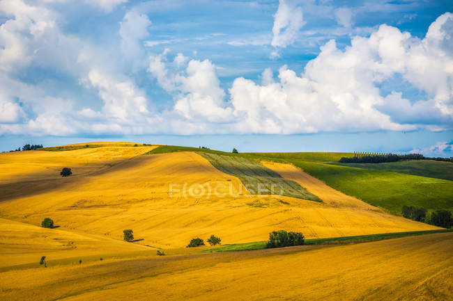 Landschaft der Weizenfelder, saludecio, emilia-romagna, italien — Stockfoto