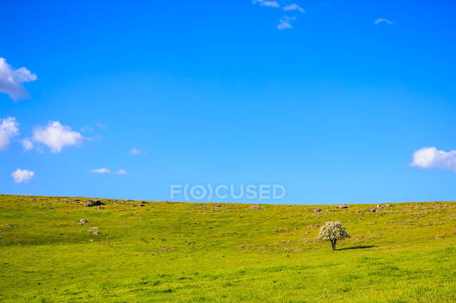 Vue panoramique sur le paysage rural, Guildford, Victoria, Australie — Photo de stock