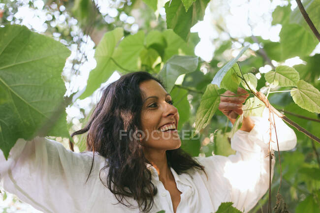 Retrato de una mujer sonriente de pie entre árboles en el bosque - foto de stock