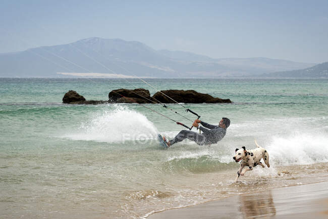 Man kitesurfing and dog running on beach, Los Lances, Tarifa, Cádiz, Andaluzia, Espanha — Fotografia de Stock