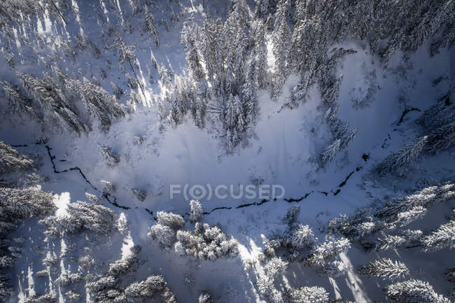 Вид с воздуха на дорогу, извивающуюся через зимний пейзаж, Зальцбург, Австрия — стоковое фото