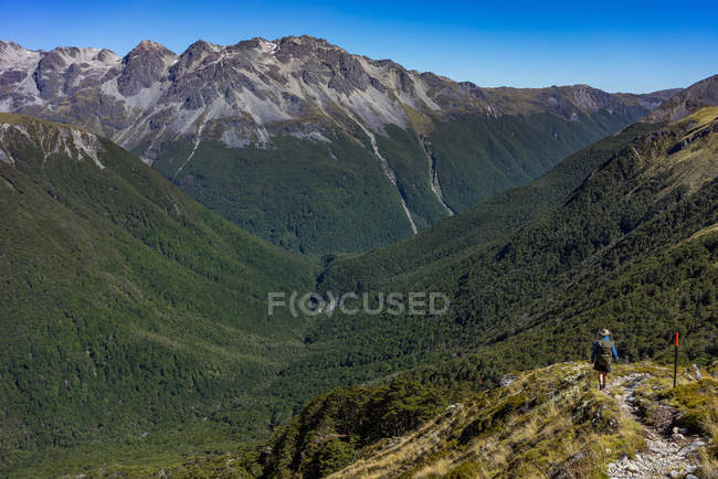 Man Hiking into Sabine River Valley, Nelson Lakes, National Park, New Zealand — стокове фото