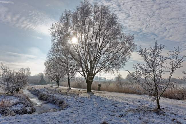 Vue panoramique sur la rivière à travers le paysage hivernal, Leer, Basse-Saxe, Allemagne — Photo de stock