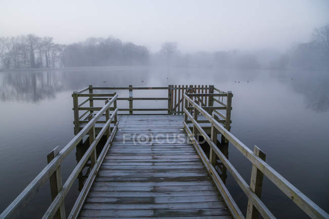 Muelle de madera en la niebla, Hatfield Forest, Essex, Inglaterra, Reino Unido - foto de stock