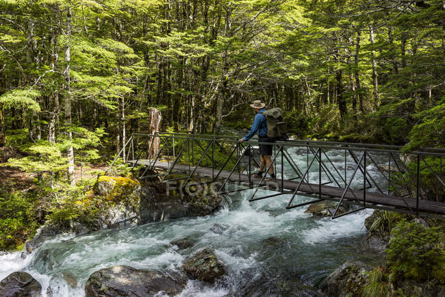 Man crossing creek, Travers Sabine Circuit, Nelson Lakes National Park, Nova Zelândia — Fotografia de Stock