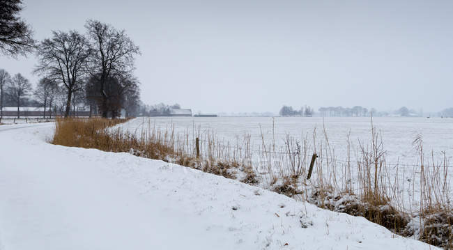 Paesaggio fluviale nella neve, Overijssel, Twente, Olanda — Foto stock