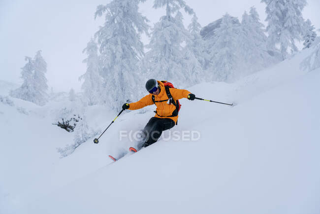 Man skiing in deep powder snow, Krippenstein, Gmunden, Austria — Stock Photo