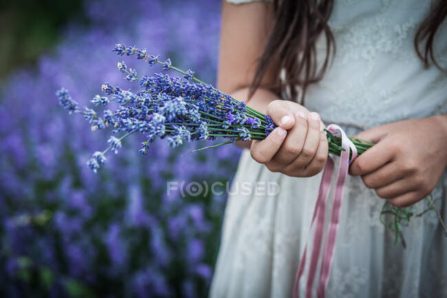 Girl holding lavender bouquet in lavender field — Stock Photo